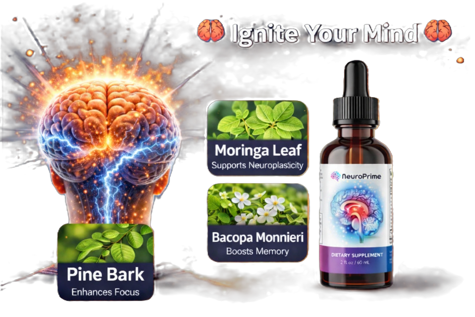 Neuro Prime Nootropic Supplement